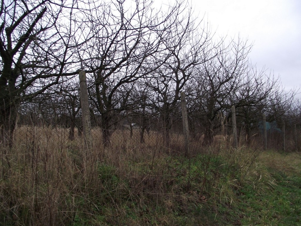 Działka Sprzedaż Stobno