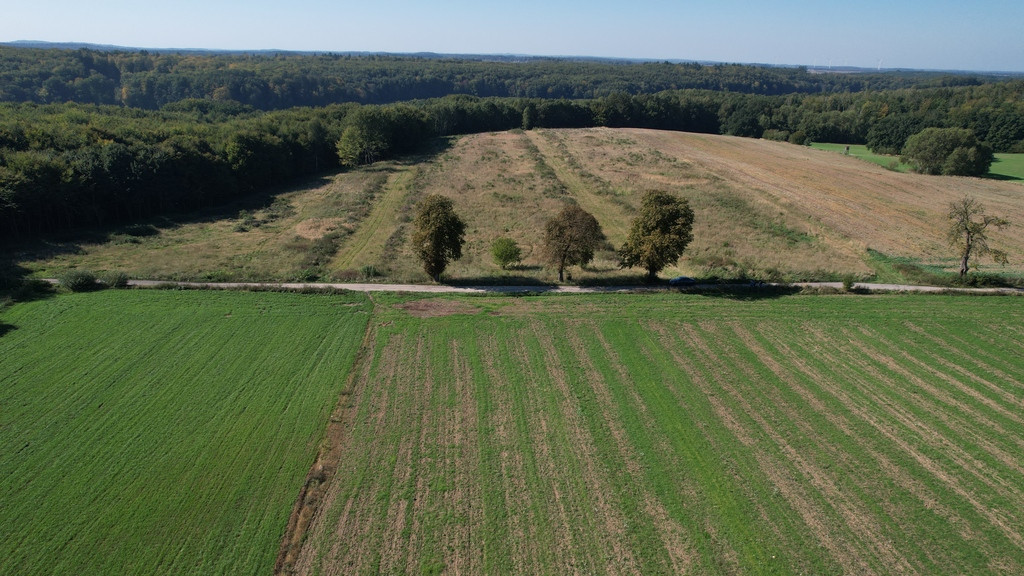 Działka Sprzedaż Dargocice