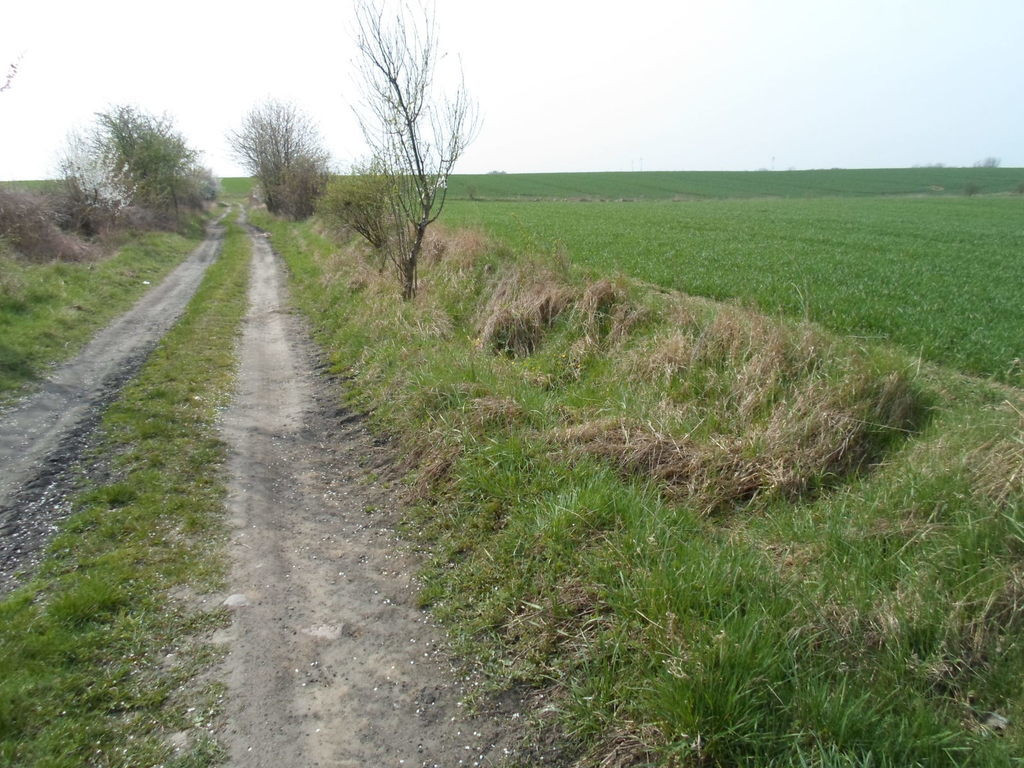 Działka Sprzedaż Siadło Górne