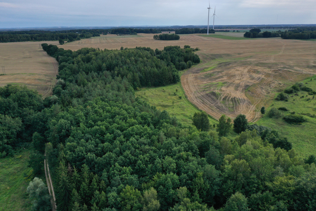 Działka Sprzedaż Prusinowo