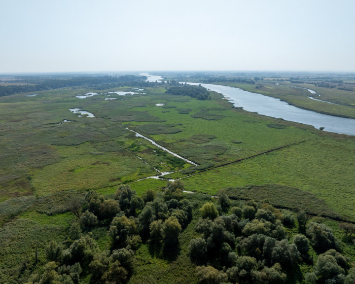 Działka Sprzedaż Stary Błeszyn