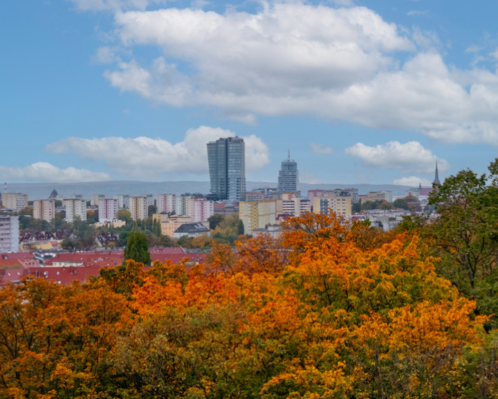 Mieszkanie Sprzedaż Szczecin Niebuszewo Łucznicza