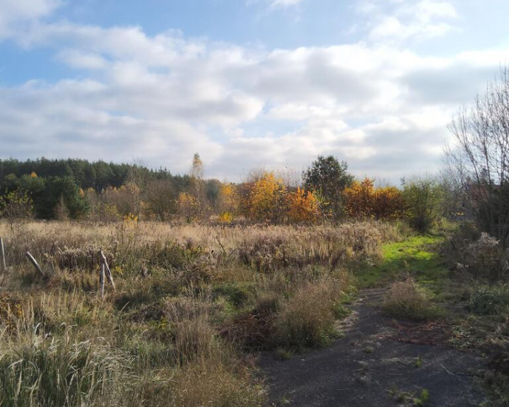 Działka Sprzedaż Szczecin Płonia