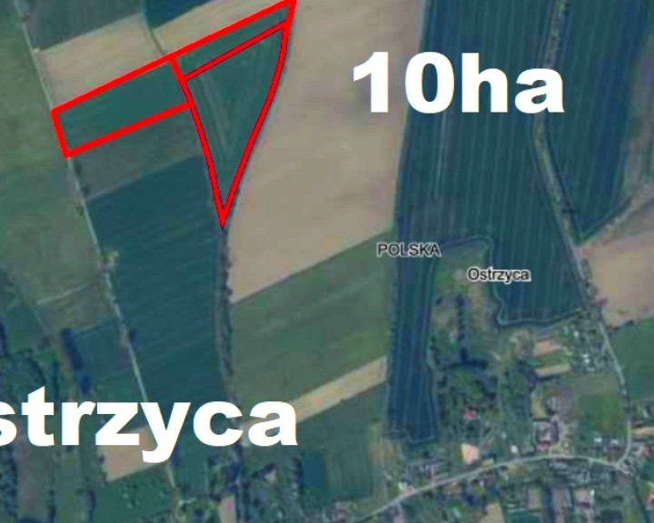 Działka Sprzedaż Ostrzyca