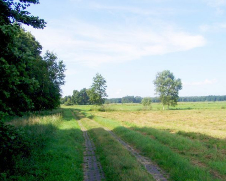 Działka Sprzedaż Nowe Warpno