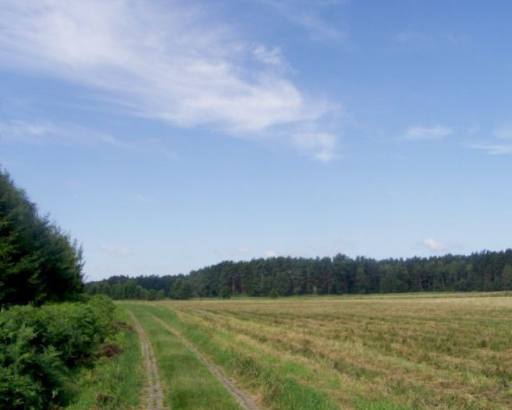 Działka Sprzedaż Nowe Warpno