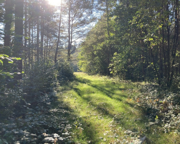 Działka Sprzedaż Krzepocin