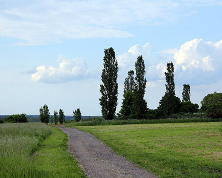 Działka Sprzedaż Bobolin