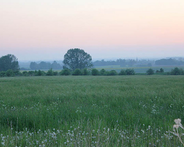 Działka Sprzedaż Bobolin