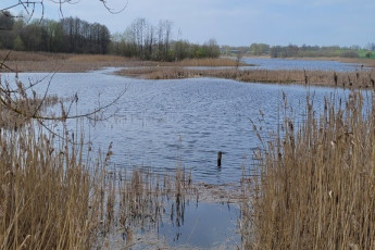 Działka Sprzedaż Zieleniewo