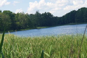 Działka Sprzedaż Zieleniewo