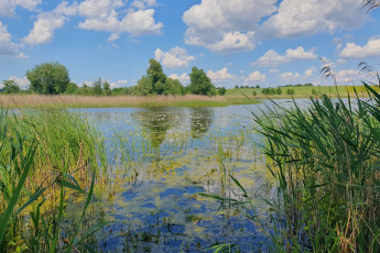 Działka Sprzedaż Zieleniewo