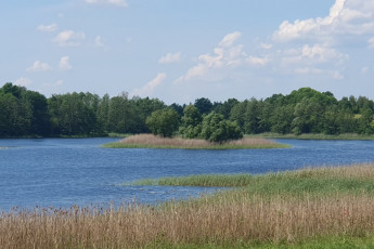 Działka Sprzedaż Zieleniewo