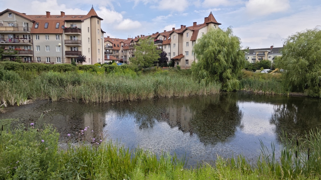 Mieszkanie Wynajem Szczecin Warszewo Złotowska