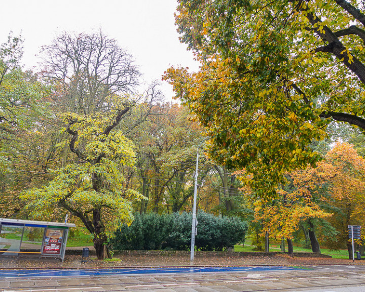 Mieszkanie Sprzedaż Szczecin Śródmieście Jacka Malczewskiego