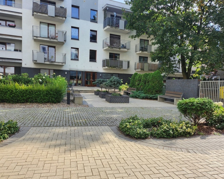 Mieszkanie Wynajem Szczecin Śródmieście-Centrum  arkowa