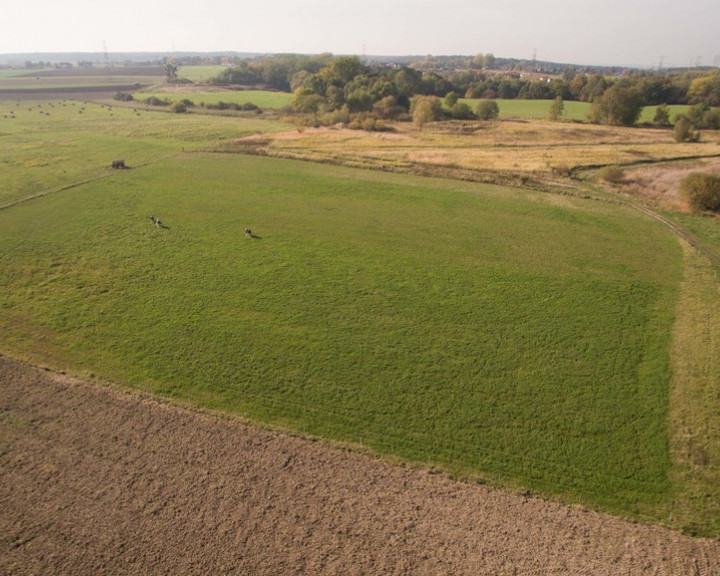 Działka Sprzedaż Szczecin Skolwin