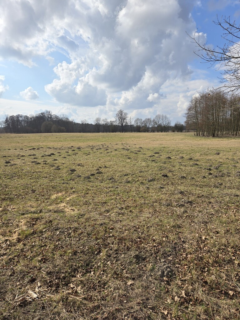 Działka Sprzedaż Rzędziny 2