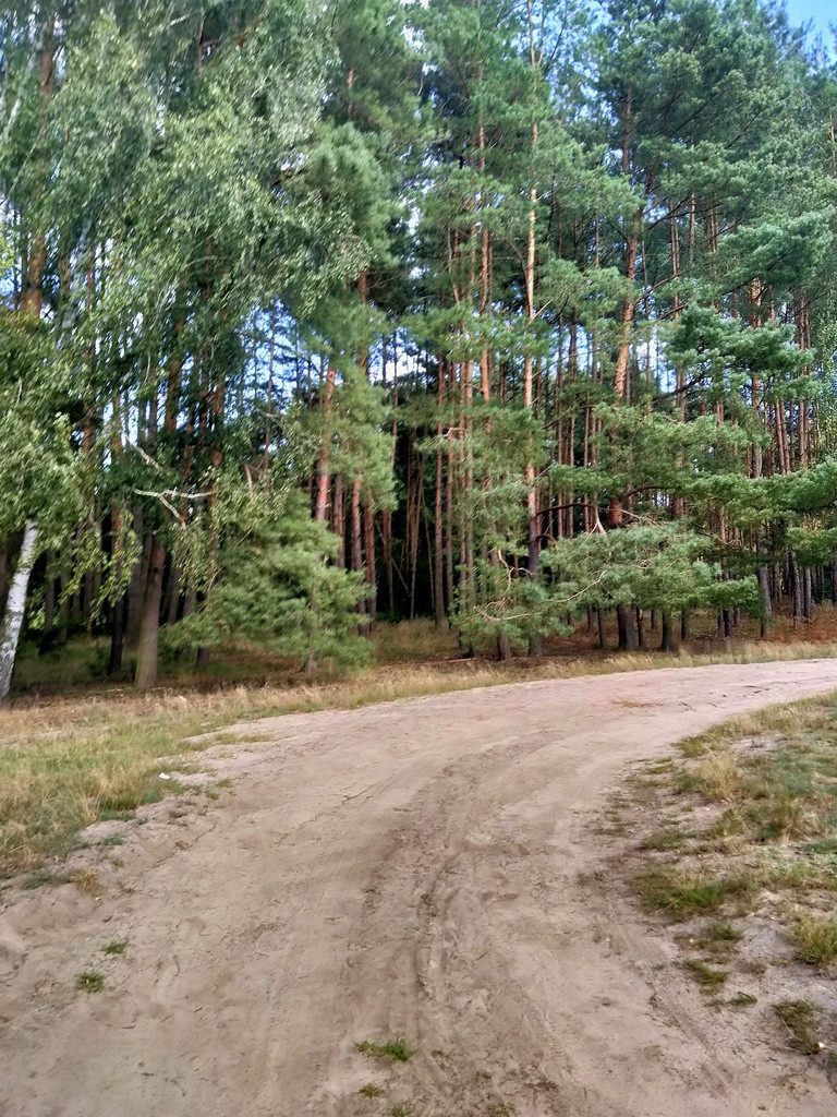 Działka Sprzedaż Tanowo Szczecińska