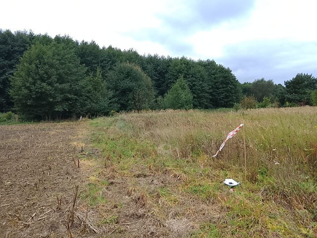 Działka Sprzedaż Stara Dąbrowa