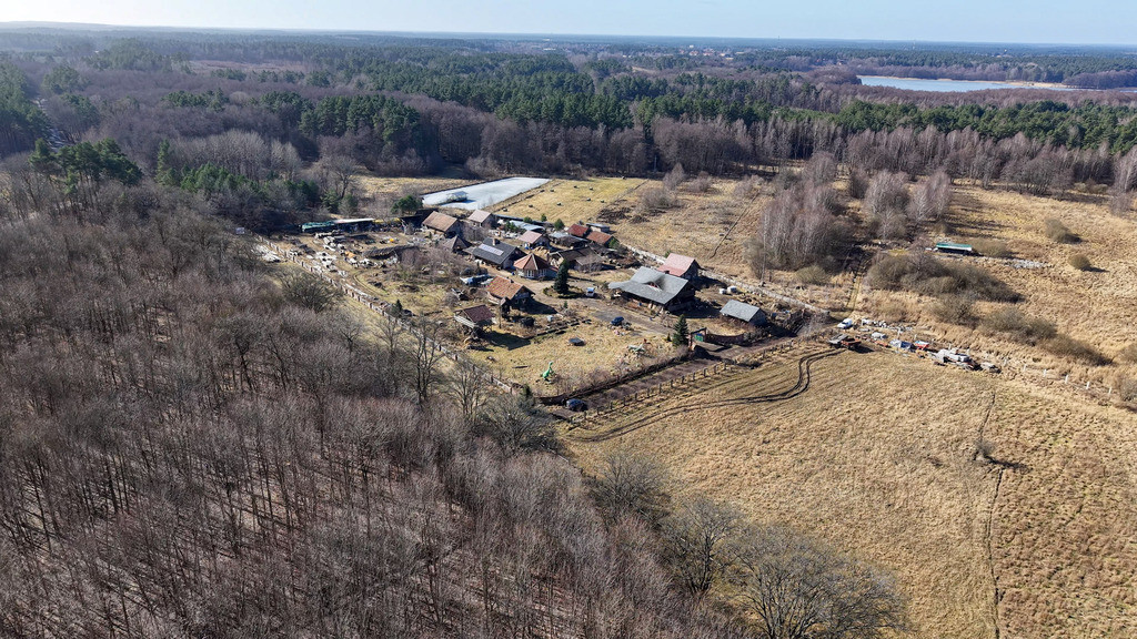 Działka Sprzedaż Krągi