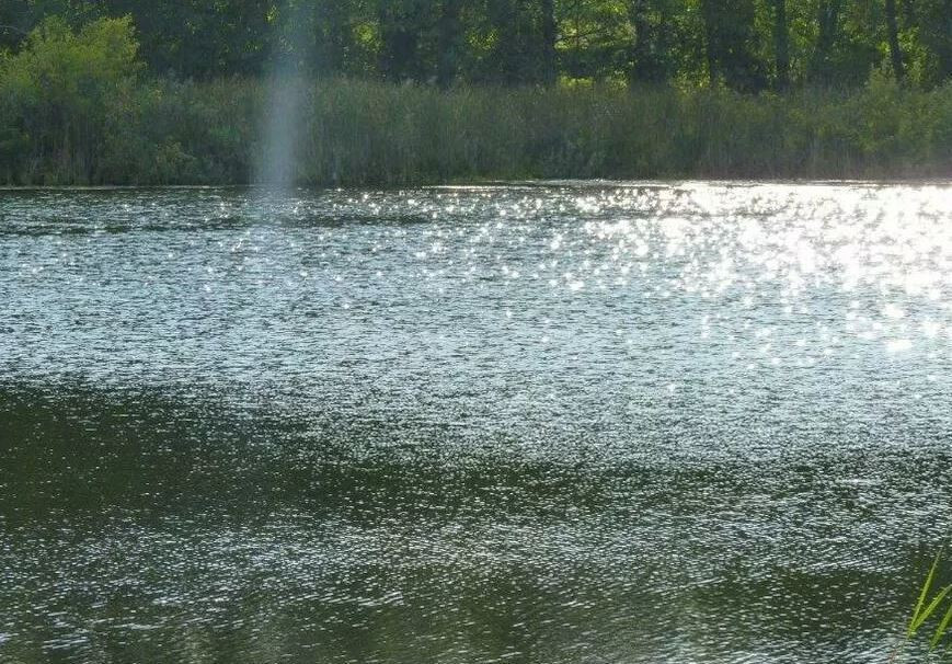 Działka Sprzedaż Zieleniewo 7