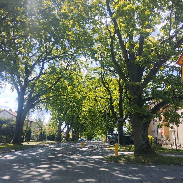 Mieszkanie Sprzedaż Szczecin Warszewo Szwedzka 13