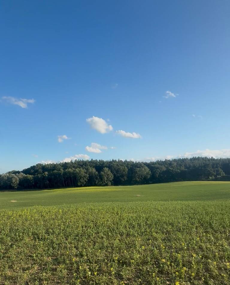 Działka Sprzedaż Buk 1