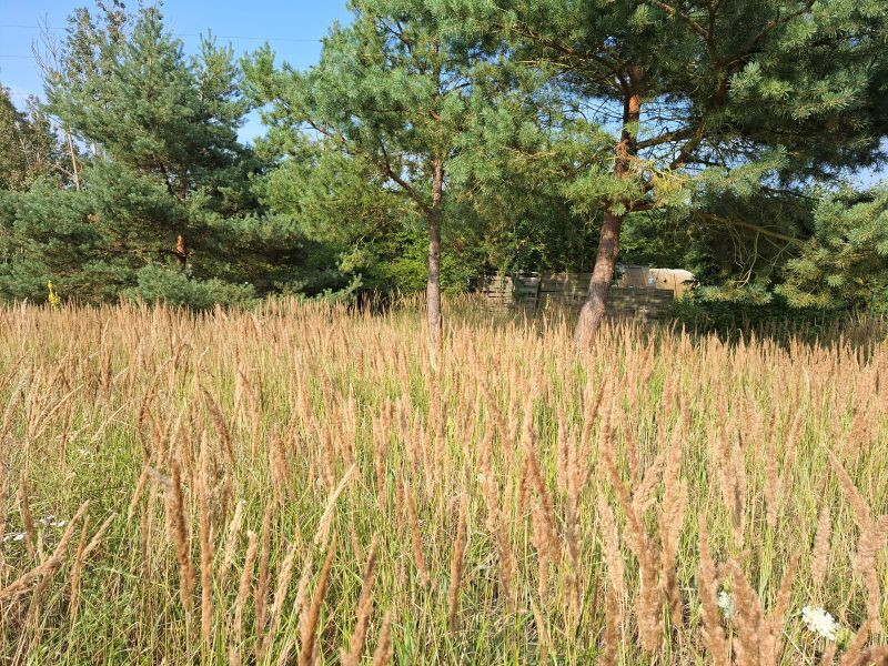 Działka Sprzedaż Łęgi 4