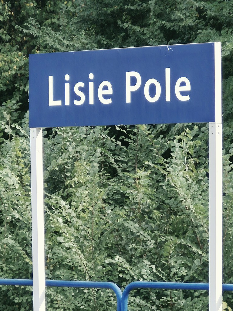 Dom Sprzedaż Lisie Pole 1