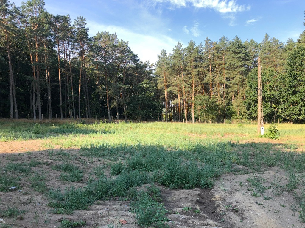 Działka Sprzedaż Trzebież 1