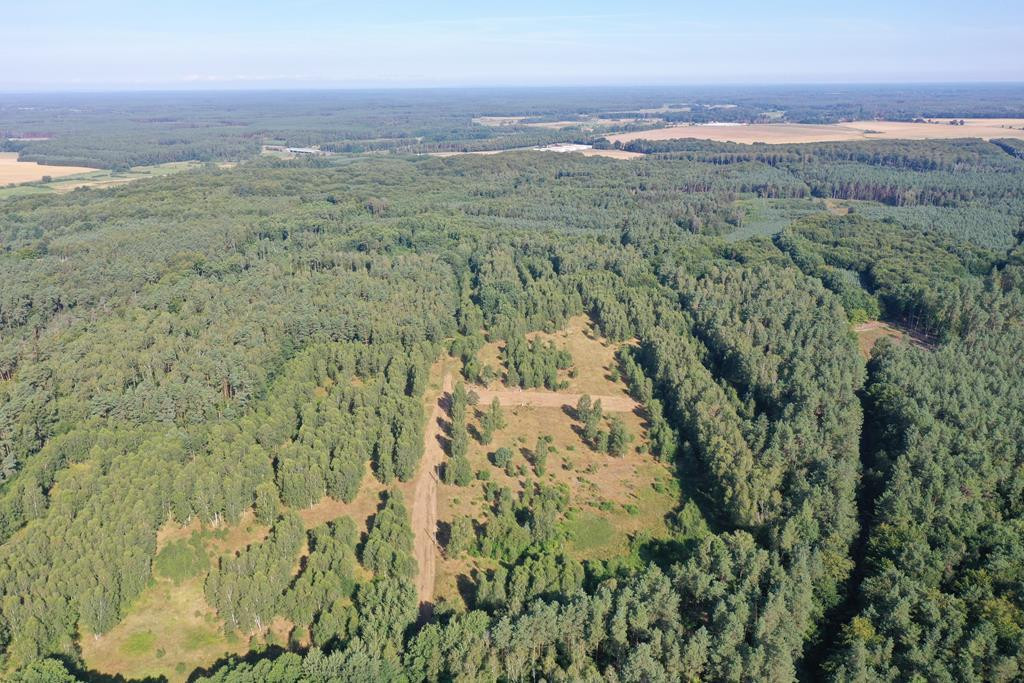 Działka Sprzedaż Krzywice 5
