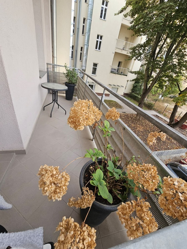 Mieszkanie Wynajem Szczecin Śródmieście-Centrum Księcia Bogusława X 4