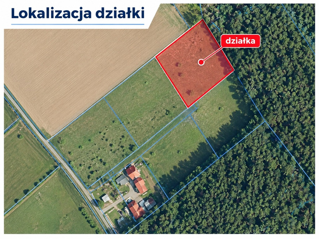 Działka Sprzedaż Drzewica 4