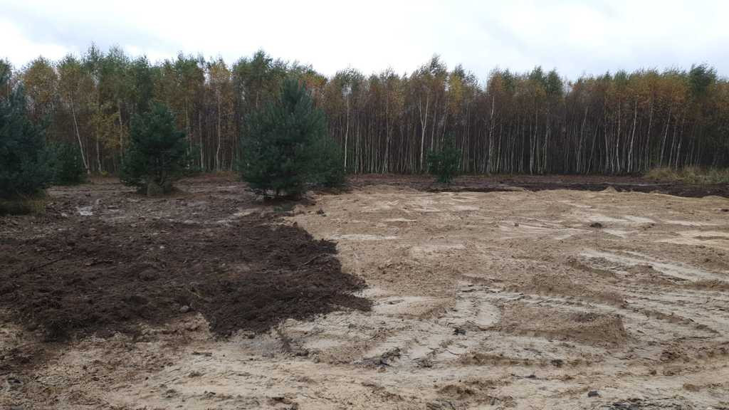 Działka Sprzedaż Borzyszewo
