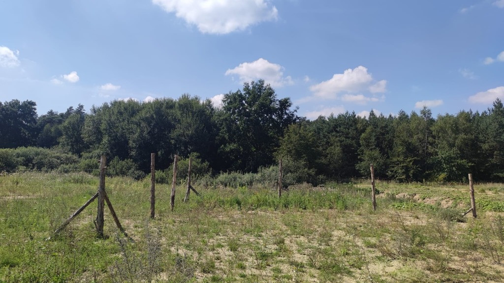 Działka Sprzedaż Kościno