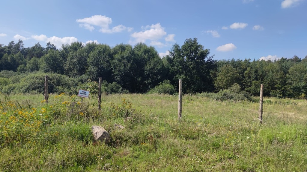 Działka Sprzedaż Kościno