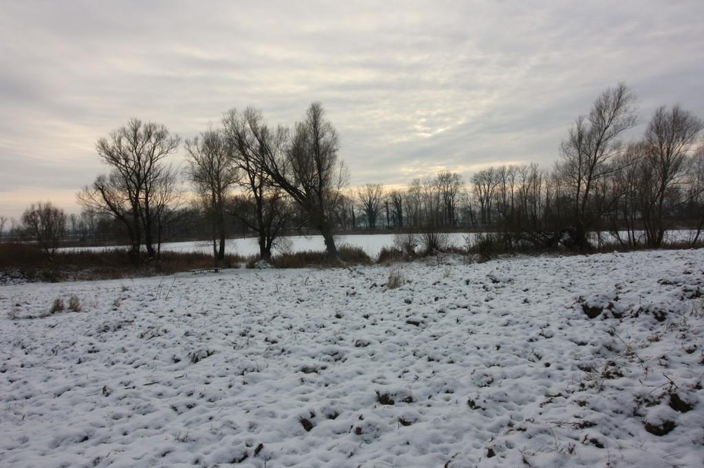 Dom Sprzedaż Sulimierz