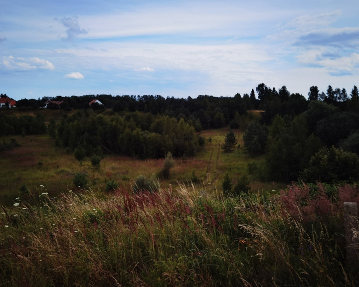 Działka Sprzedaż Kołczewo