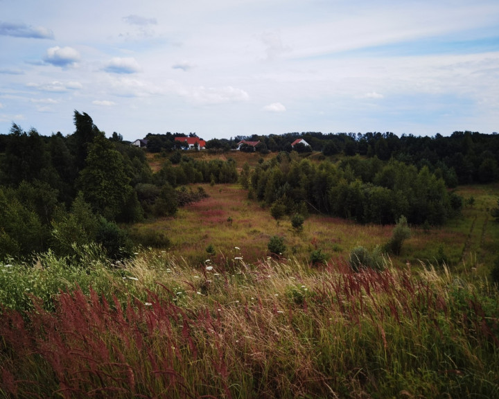 Działka Sprzedaż Kołczewo