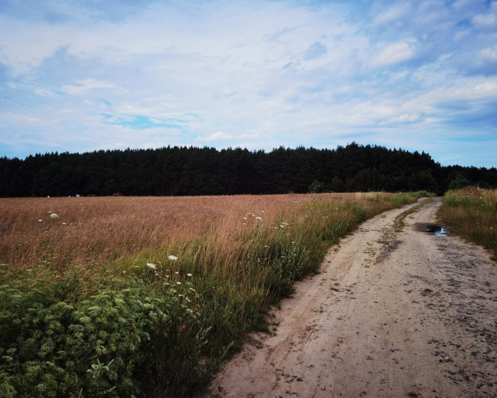 Działka Sprzedaż Kołczewo