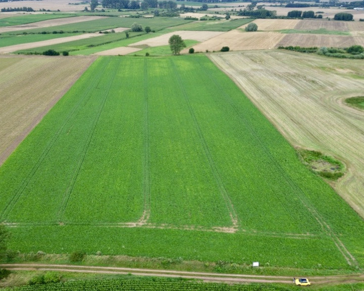 Działka Sprzedaż Bielice