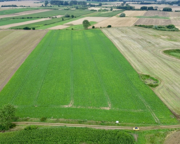 Działka Sprzedaż Bielice