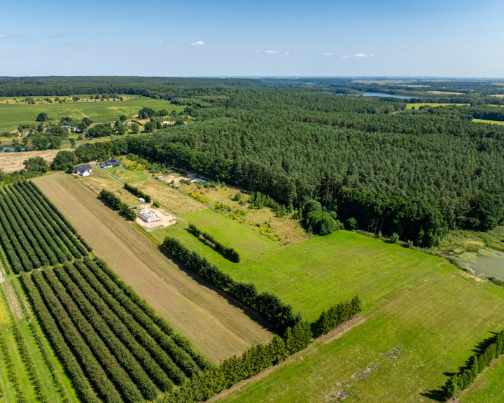 Działka Sprzedaż Binowo