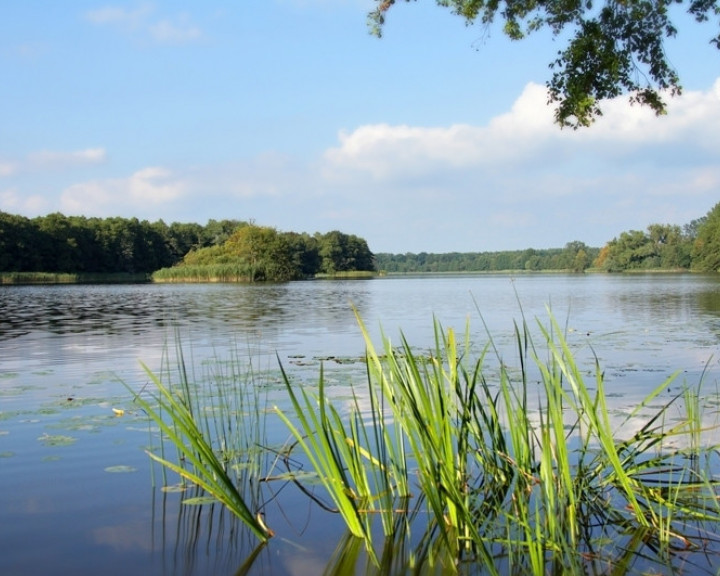 Działka Sprzedaż Warnice