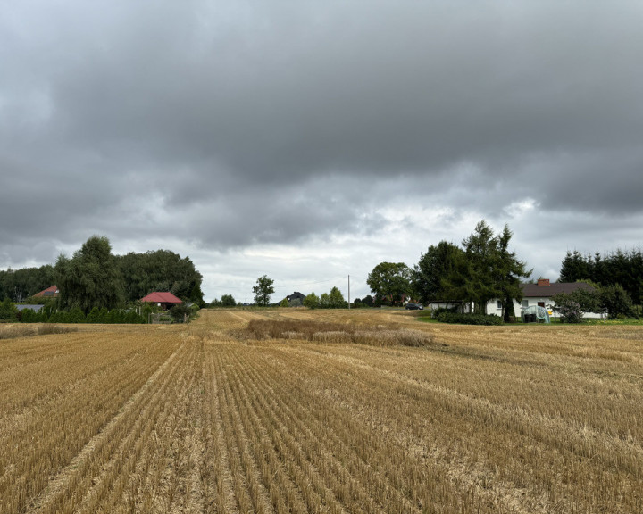 Działka Sprzedaż Kolonia Maszewo