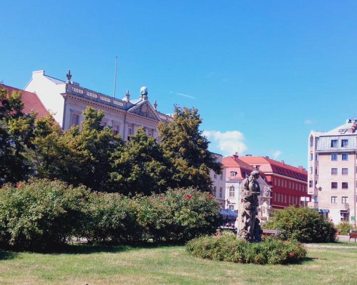 Mieszkanie Sprzedaż Szczecin Śródmieście-Centrum Grodzka