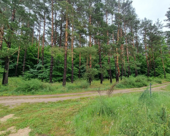 Działka Sprzedaż Wisełka