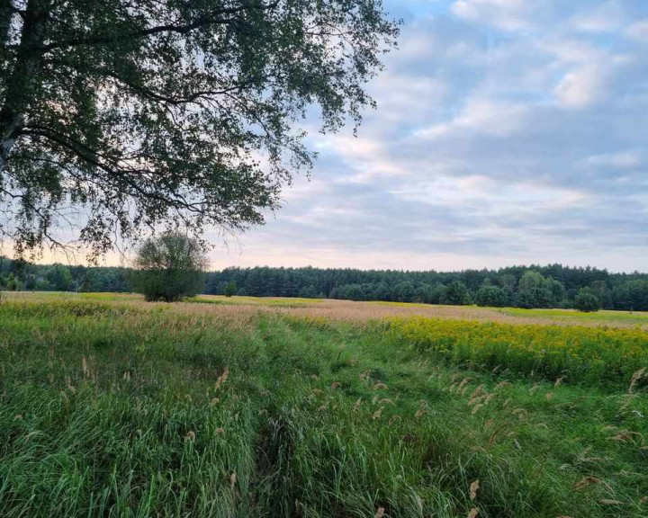 Działka Sprzedaż Szczecin Wielgowo Żywiczna