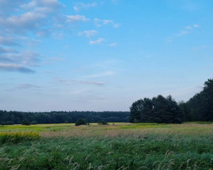 Działka Sprzedaż Szczecin Wielgowo Żywiczna